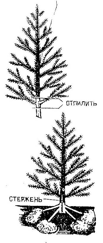 Как сделать крестовину для елки